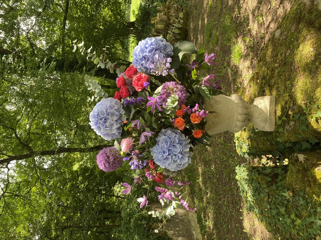 Coloré