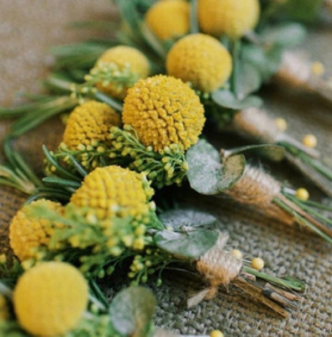 Boutonnière